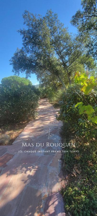 Le Mas Du Rouquan Vidauban Extérieur photo