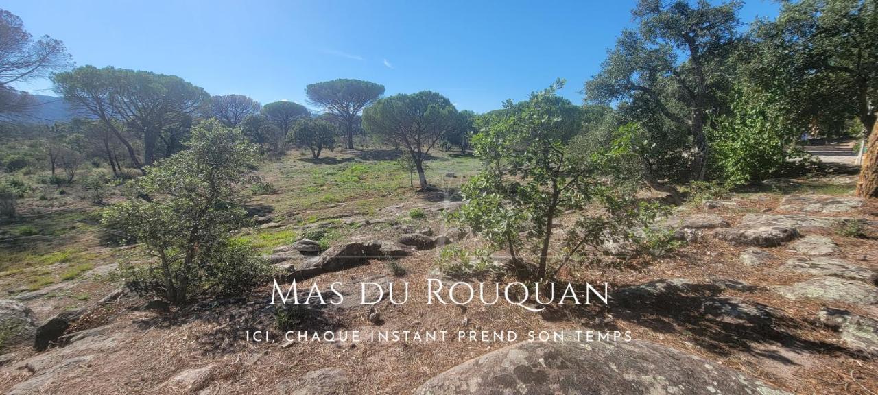 Le Mas Du Rouquan Vidauban Extérieur photo