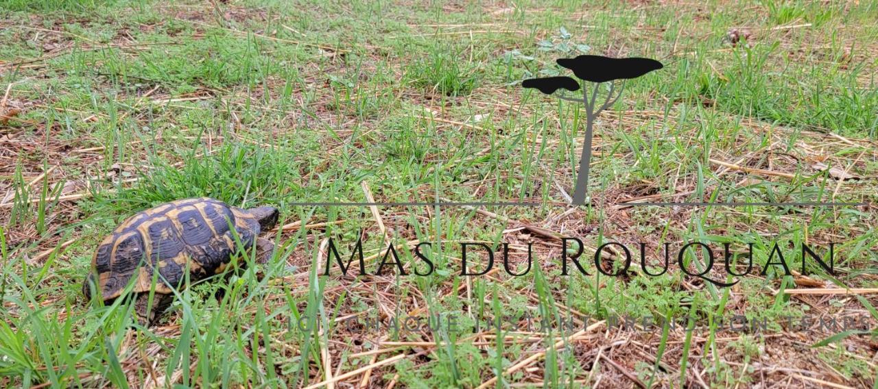 Le Mas Du Rouquan Vidauban Extérieur photo